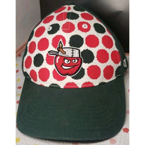 Fort Wayne TinCaps Youth MiLB OC Sports Strapback Adjustable Baseball Hat Multi - Picture 1 of 8